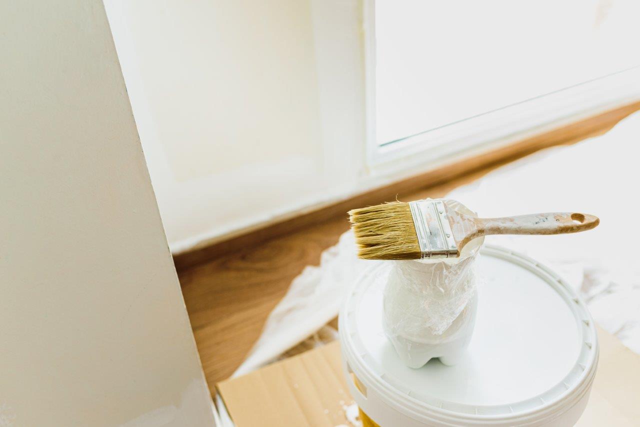 eco friendly paint