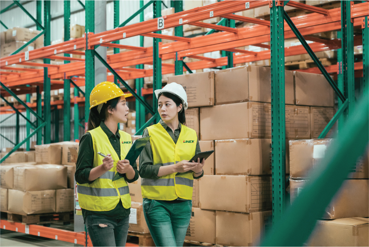 linex-image-3